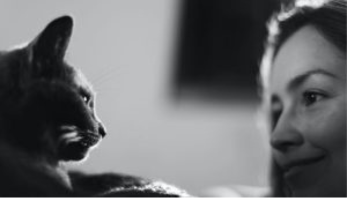 Por Que os Gatos Cheiram Nosso Rosto