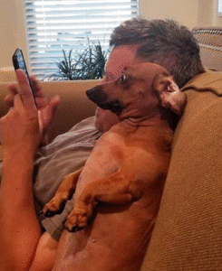 salsichinha-meme-julgamento-viralizou