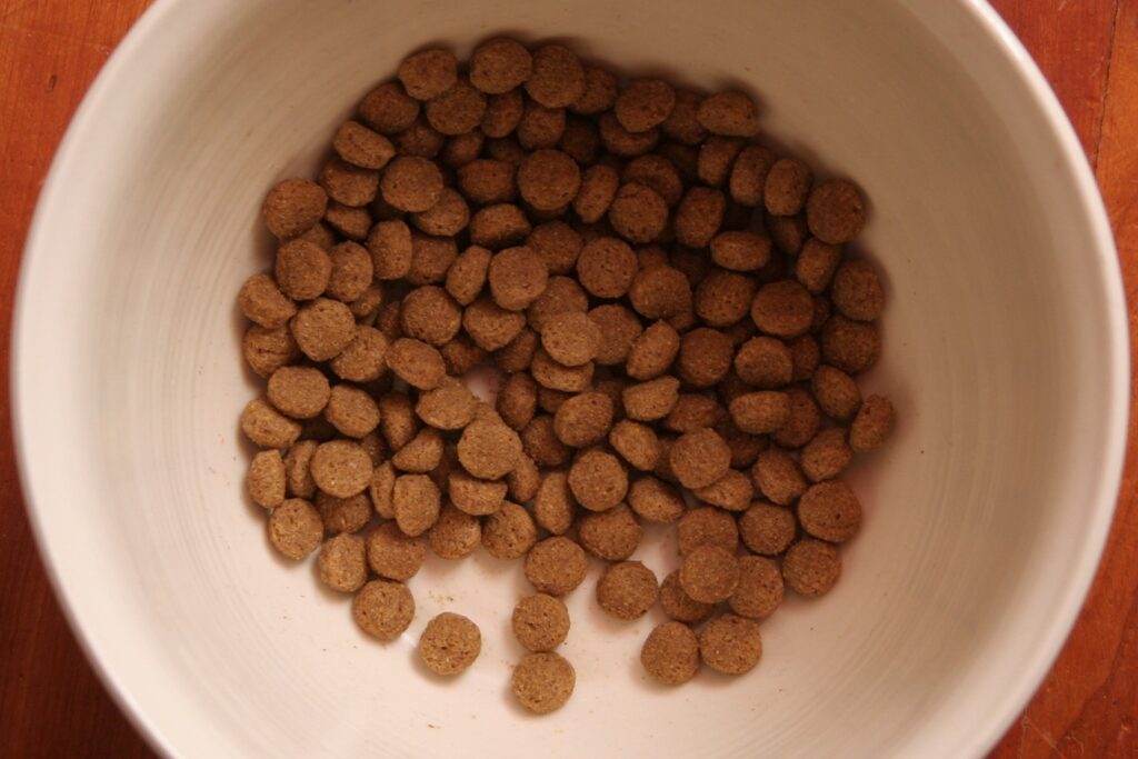 Como escolher ração por porte e fase de vida sem errar