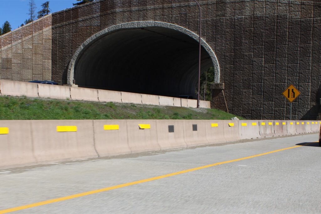 Projeto brasileiro reduz atropelamento de fauna em rodovias